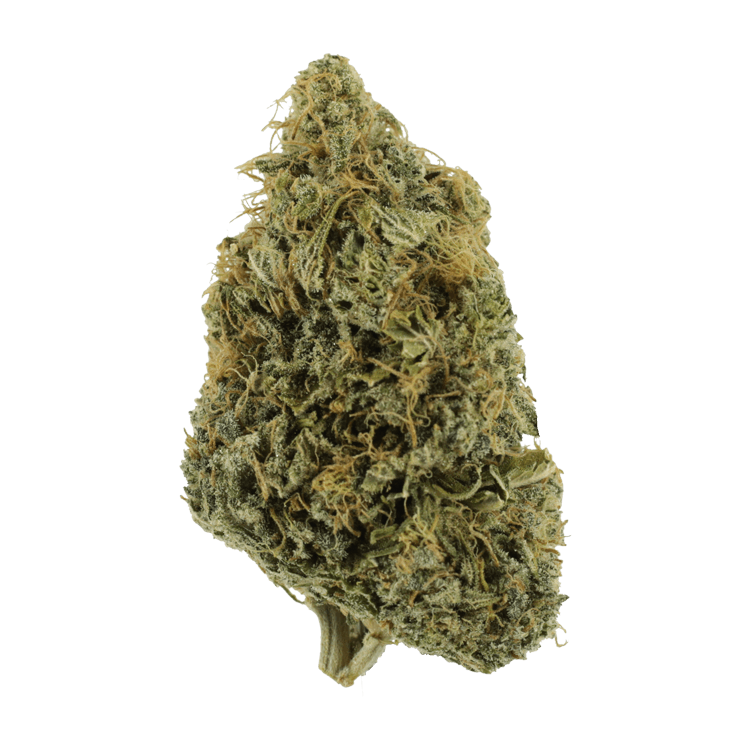 NYC Diesel | BC Weed Edible Canada