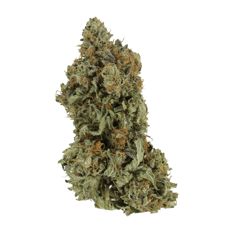 Bruce Banner #3 | BC Weed Edible Canada