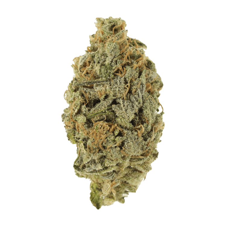 Lavender | BC Weed Edible Canada