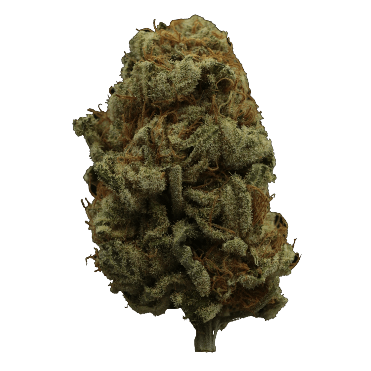 Hempstar | BC Weed Edible Canada Hempstar | BC Weed Edible Canada