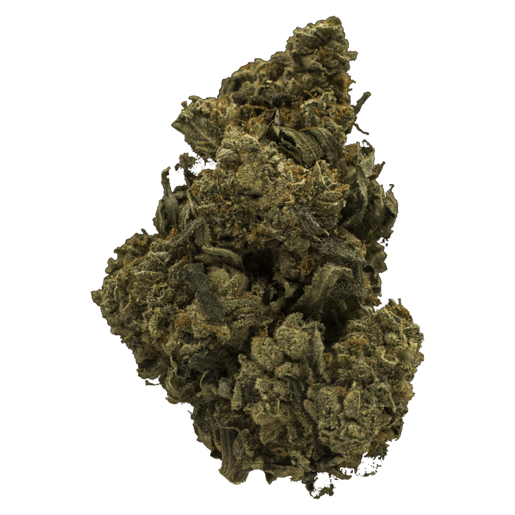 Jack Herer 1 Ounce | BC Weed Edible Canada