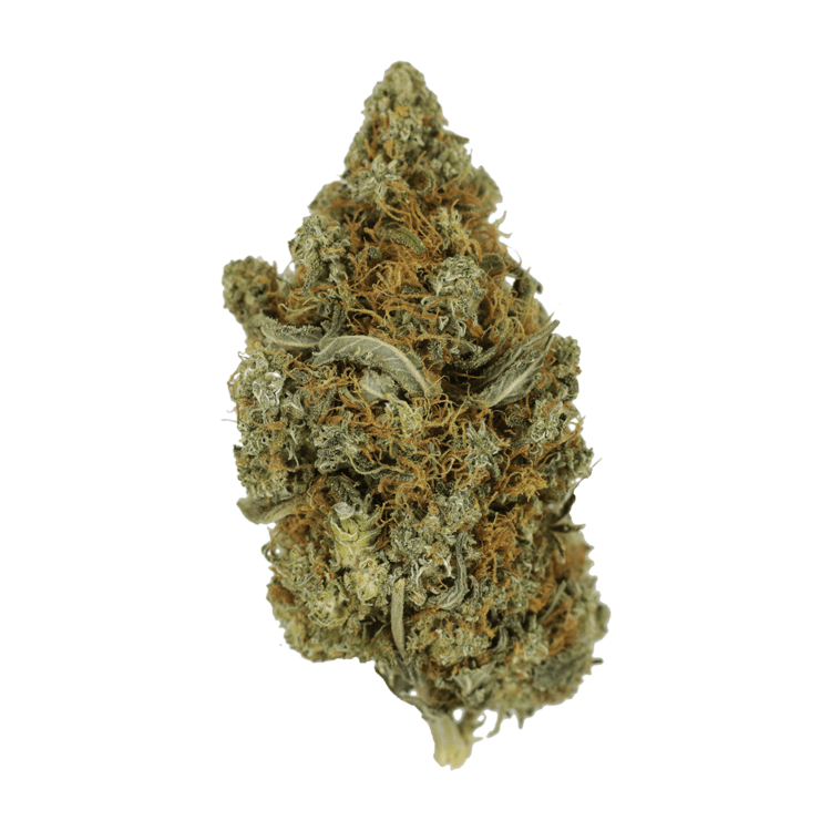 Jack Herer 1 Ounce | BC Weed Edible Canada