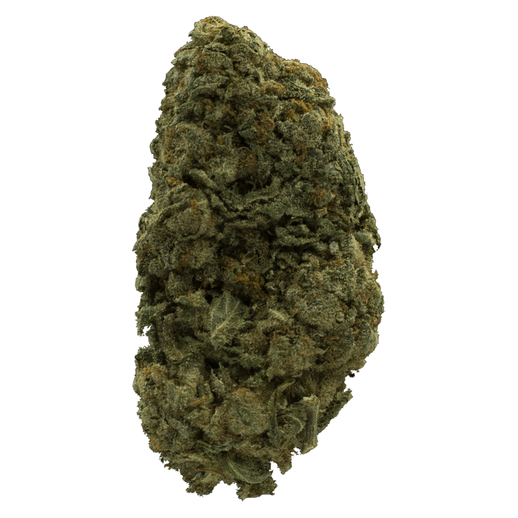 Northern Lights – 1 Ounce | BC Weed Edible Canada