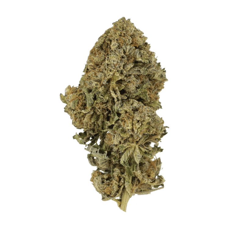 Durban Poison | BC Weed Edible Canada