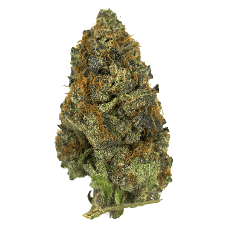 Grape Jelly | BC Weed Edible Canada Grape Jelly | BC Weed Edible Canada