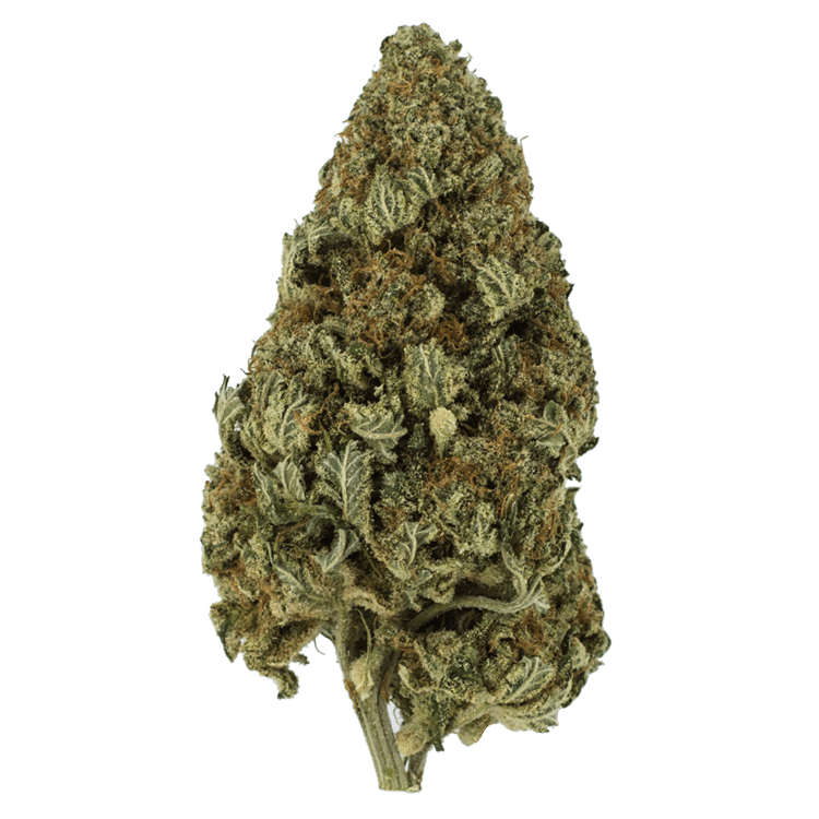 Hulkamania | BC Weed Edible Canada