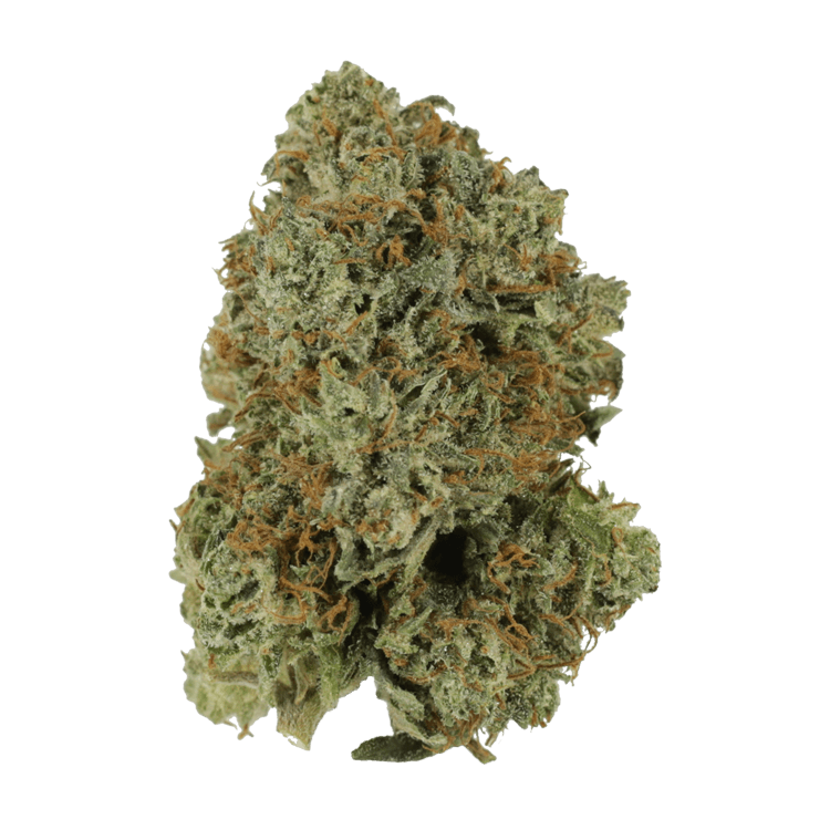 Pink Rockstar | BC Weed Edible Canada Pink Rockstar | BC Weed Edible Canada