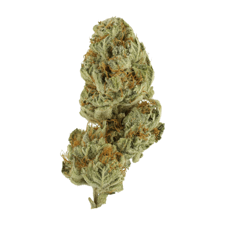 Strawberry Glue | BC Weed Edible Canada