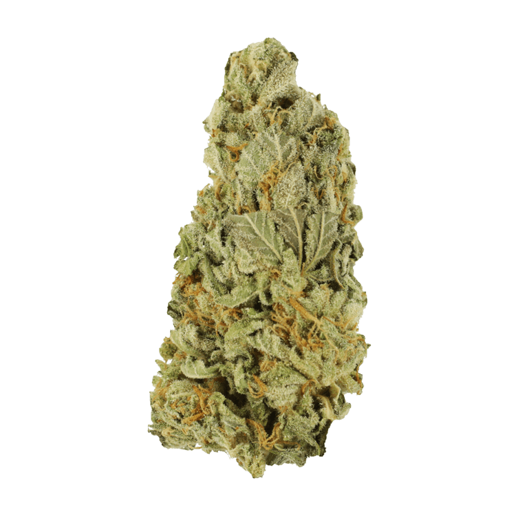 Green Congo | BC Weed Edible Canada