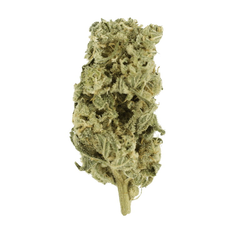 Romulan Hashplant | BC Weed Edible Canada