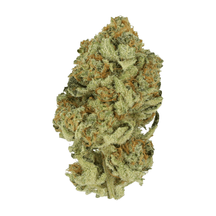 Black Cherry Punch | BC Weed Edible Canada