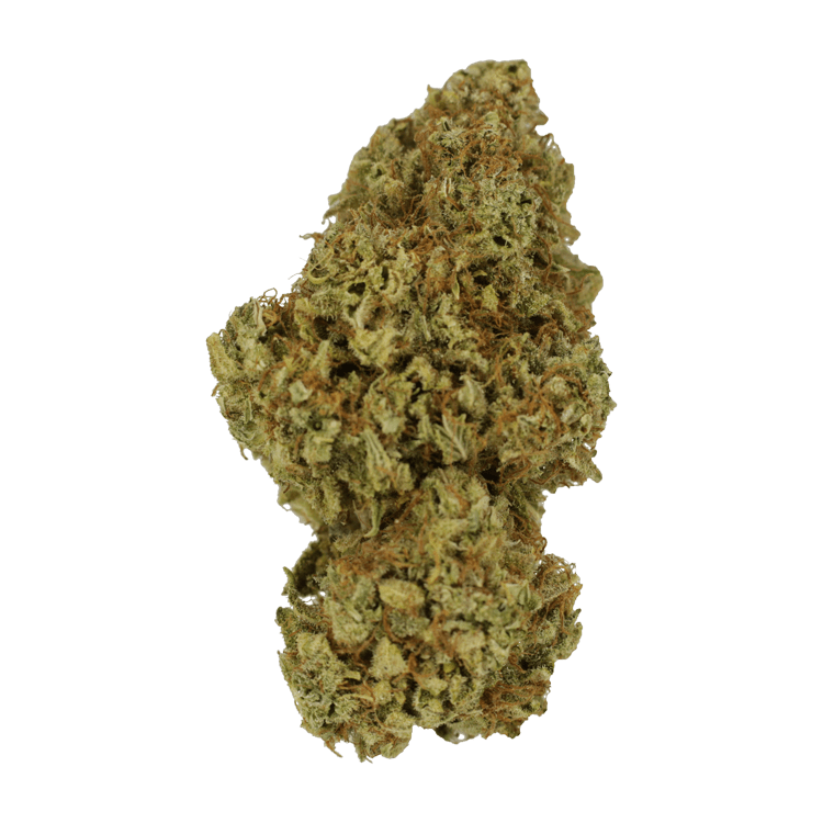 Sour Amnesia | BC Weed Edible Canada