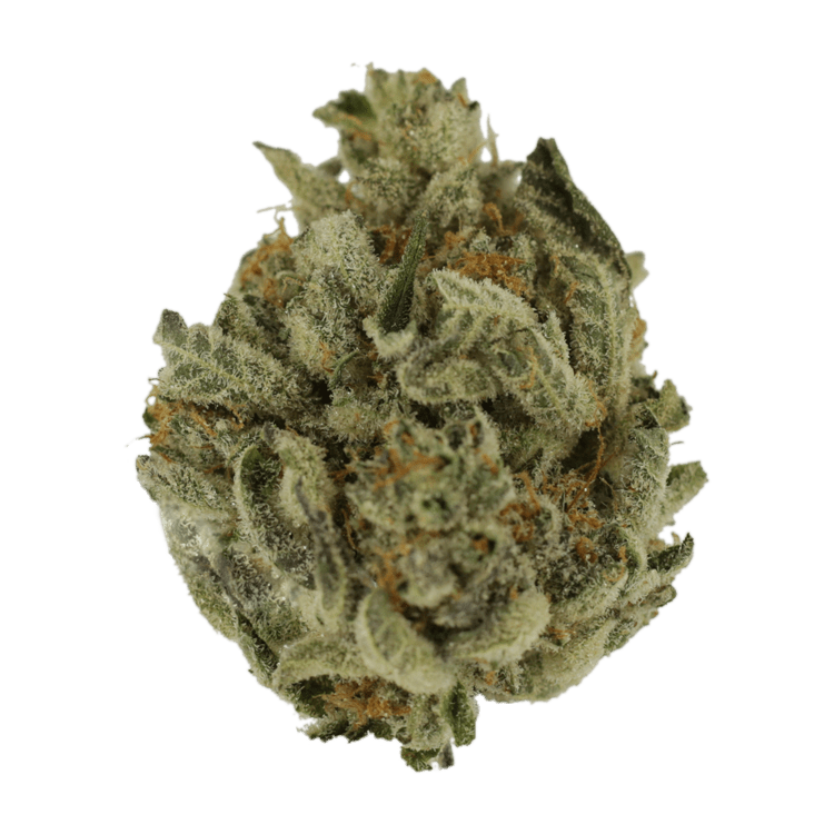 Biscotti Sundae | BC Weed Edible Canada