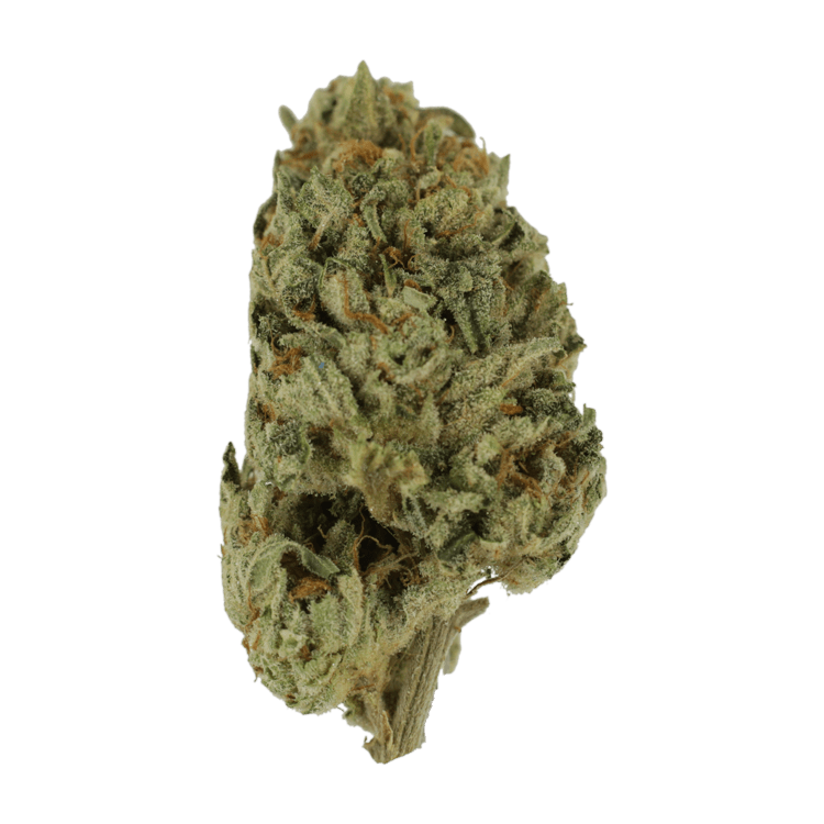 Biscotti Sundae | BC Weed Edible Canada