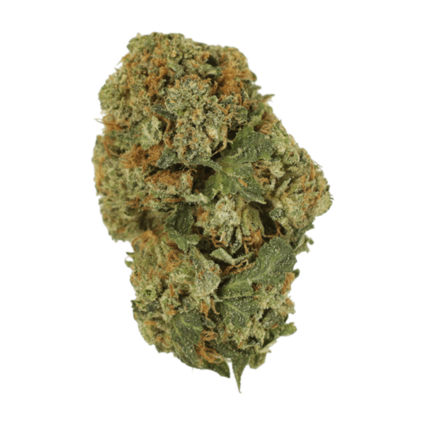 Dank Schrader | BC Weed Edible Canada Dank Schrader | BC Weed Edible Canada