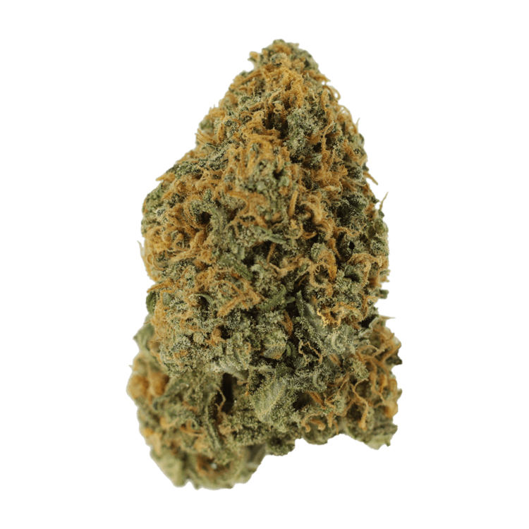 Lemon Sour Diesel | BC Weed Edible Canada Lemon Sour Diesel | BC Weed Edible Canada