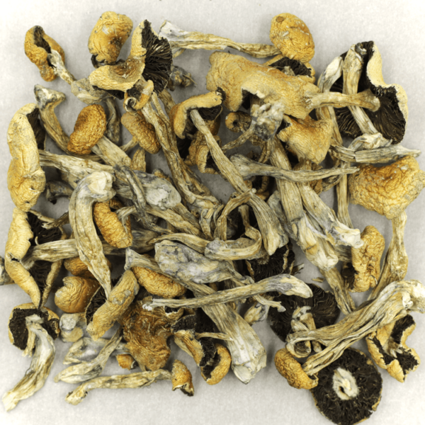 Puerto Rican | BC Weed Edible Canada