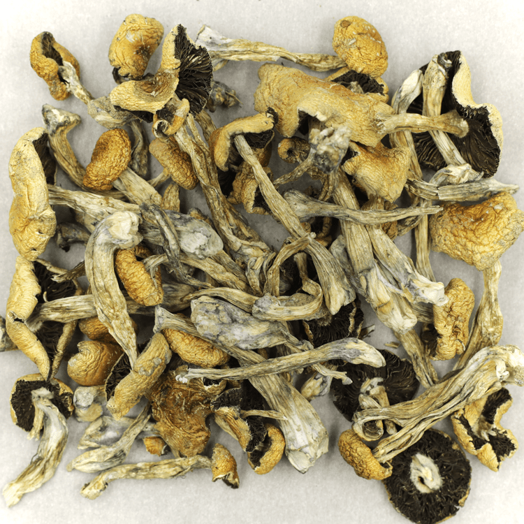 Puerto Rican | BC Weed Edible Canada