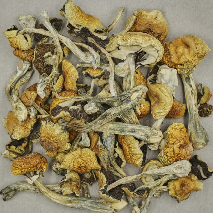 South American | BC Weed Edible Canada South American | BC Weed Edible Canada