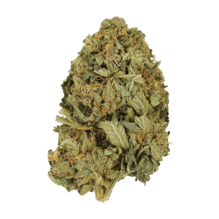 G13 | BC Weed Edible Canada