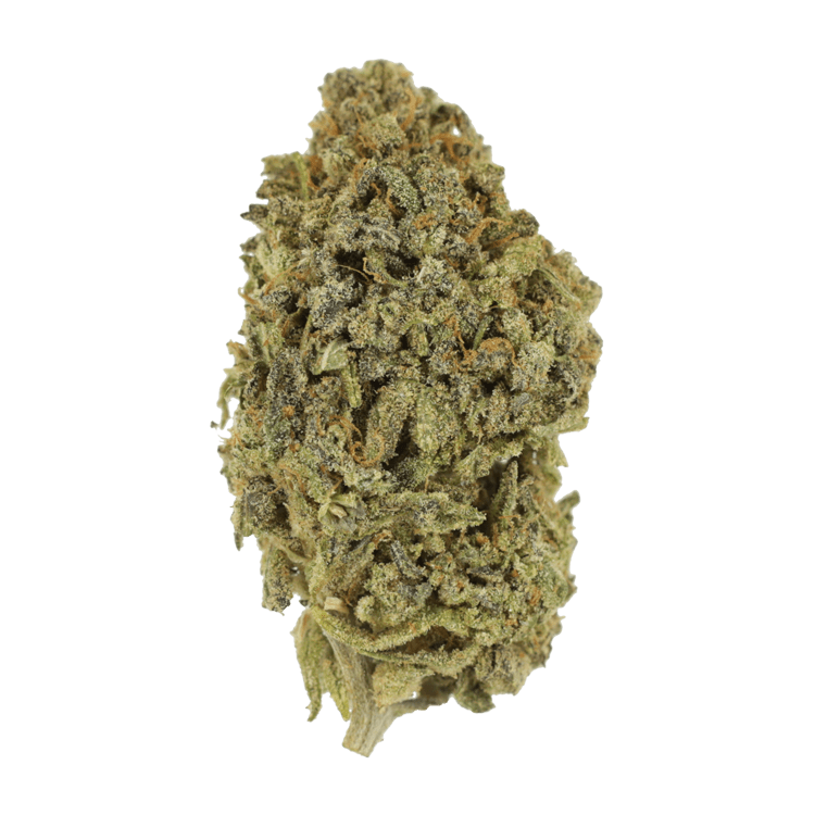 Watermelon Gelato | BC Weed Edible Canada