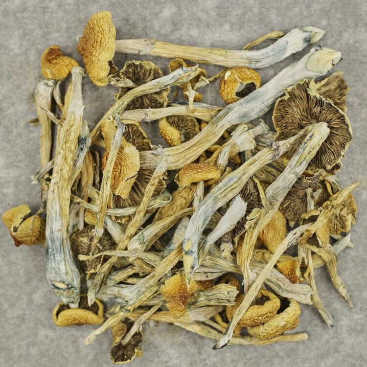 Trinity | BC Weed Edible Canada