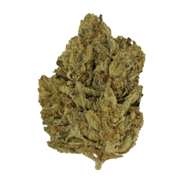 Blackwater | BC Weed Edible Canada