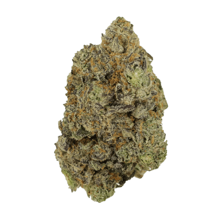 Hash Plant | BC Weed Edible Canada