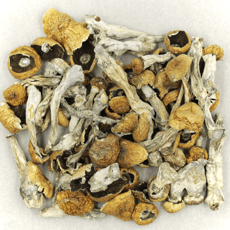 Orissa | BC Weed Edible Canada