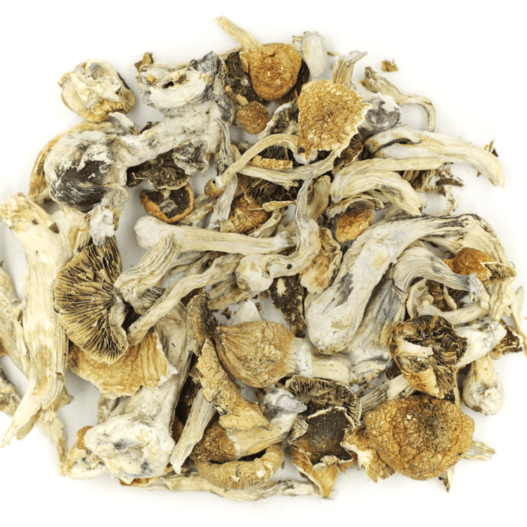 Lizard King | BC Weed Edible Canada