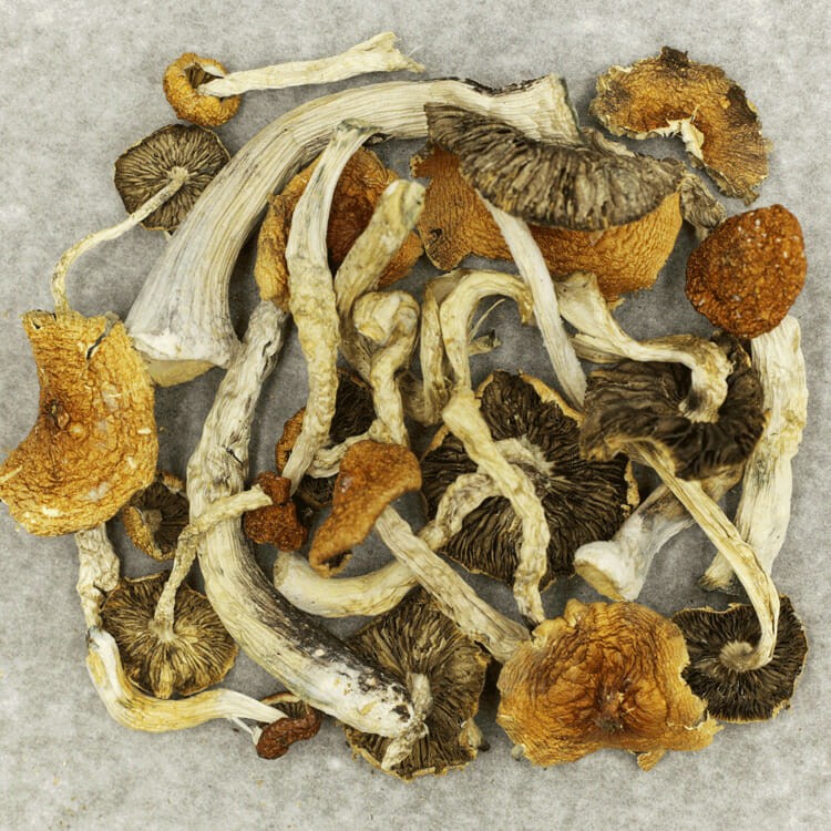 Big Daddy | BC Weed Edible Canada