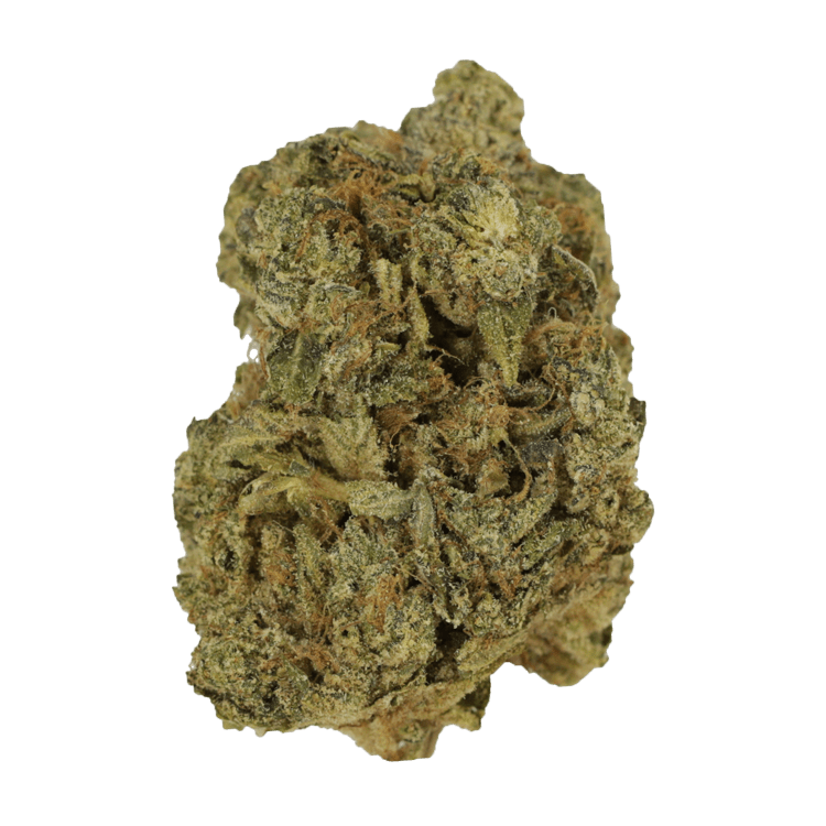 California Sour Diesel | BC Weed Edible Canada
