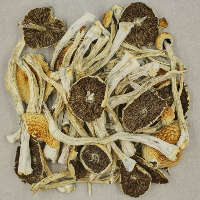 Zilla | BC Weed Edible Canada