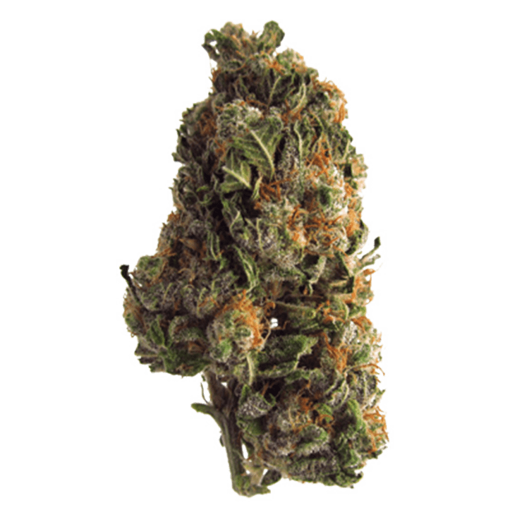 Grape Crush | BC Weed Edible Canada Grape Crush | BC Weed Edible Canada