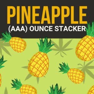 Pineapple 1 OZ Kit | BC Weed Edible Canada